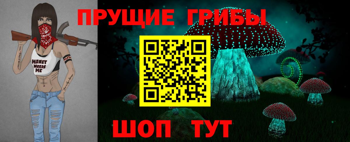 Галлюциногенные грибы Psilocybe Ревда