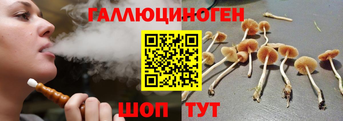 дарнет шоп  Псилоцибиновые грибы прущие грибы  Вход с VPN  Ревда 